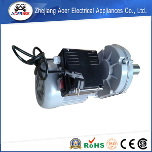 Superior Practical and Economical Asynchronous Electric Motor Long Shaft